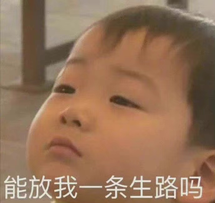 WechatIMG261.webp