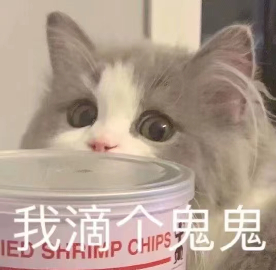 姐妹对象与他家?主子的恩怨